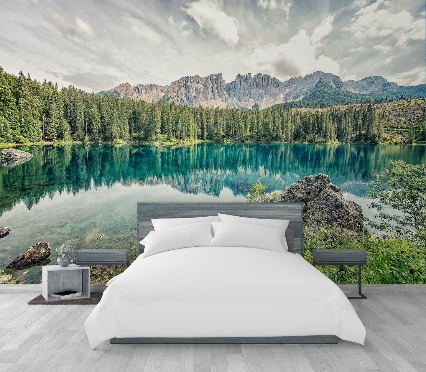 Bosque y Lago Panorámicos