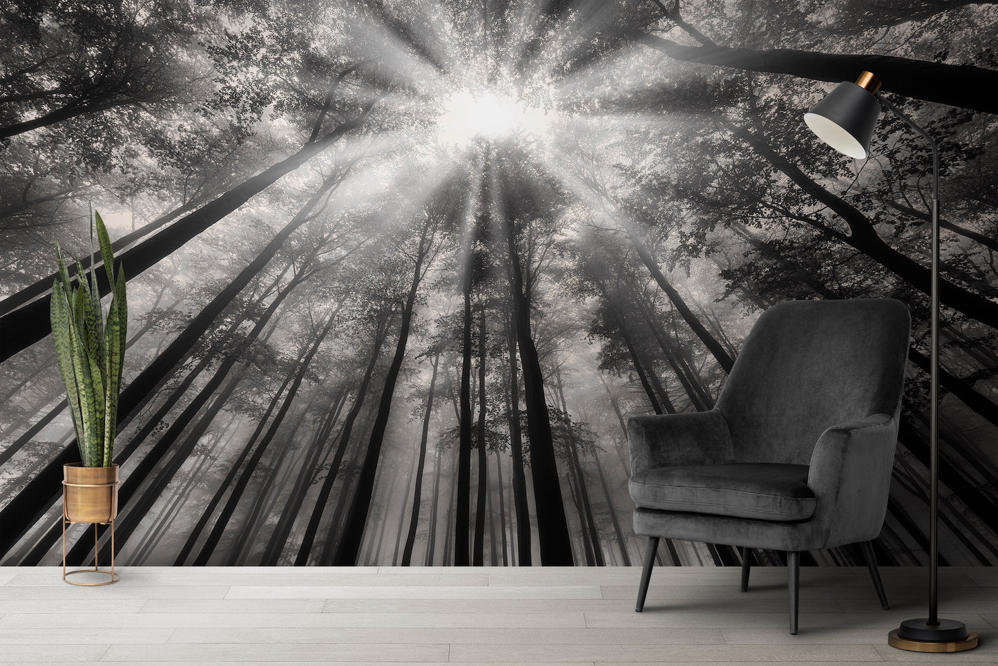 Bosque Arboles y Rayos de Sol Blanco y Negro