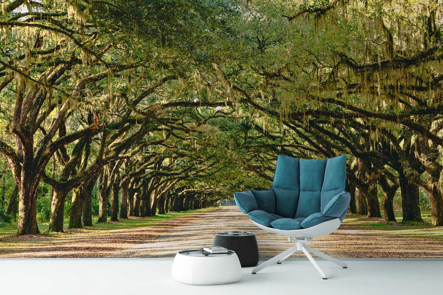 Túnel de Robles y Musgo