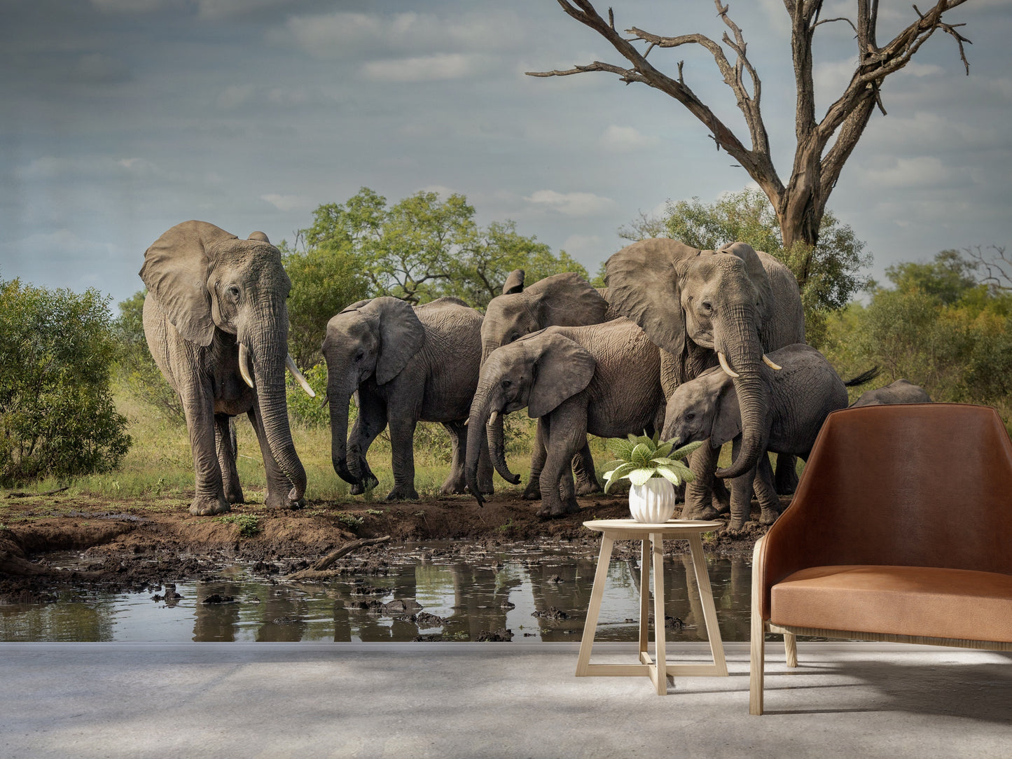 Manada de Elefantes Africa