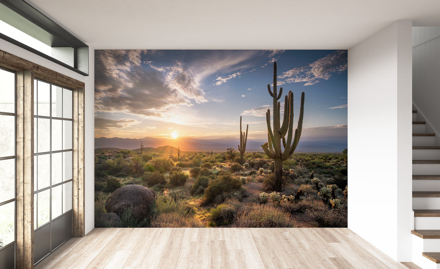 Cactus Desierto Arizona