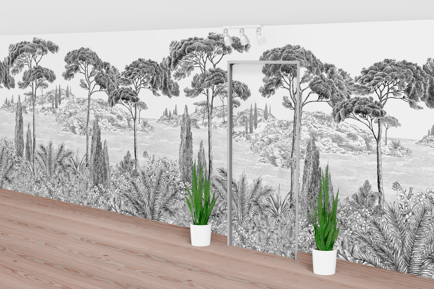 Bosque Blanco y Negro