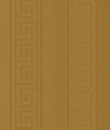 Tapiz Wallpaper Versace Grecas y Líneas - Dorado