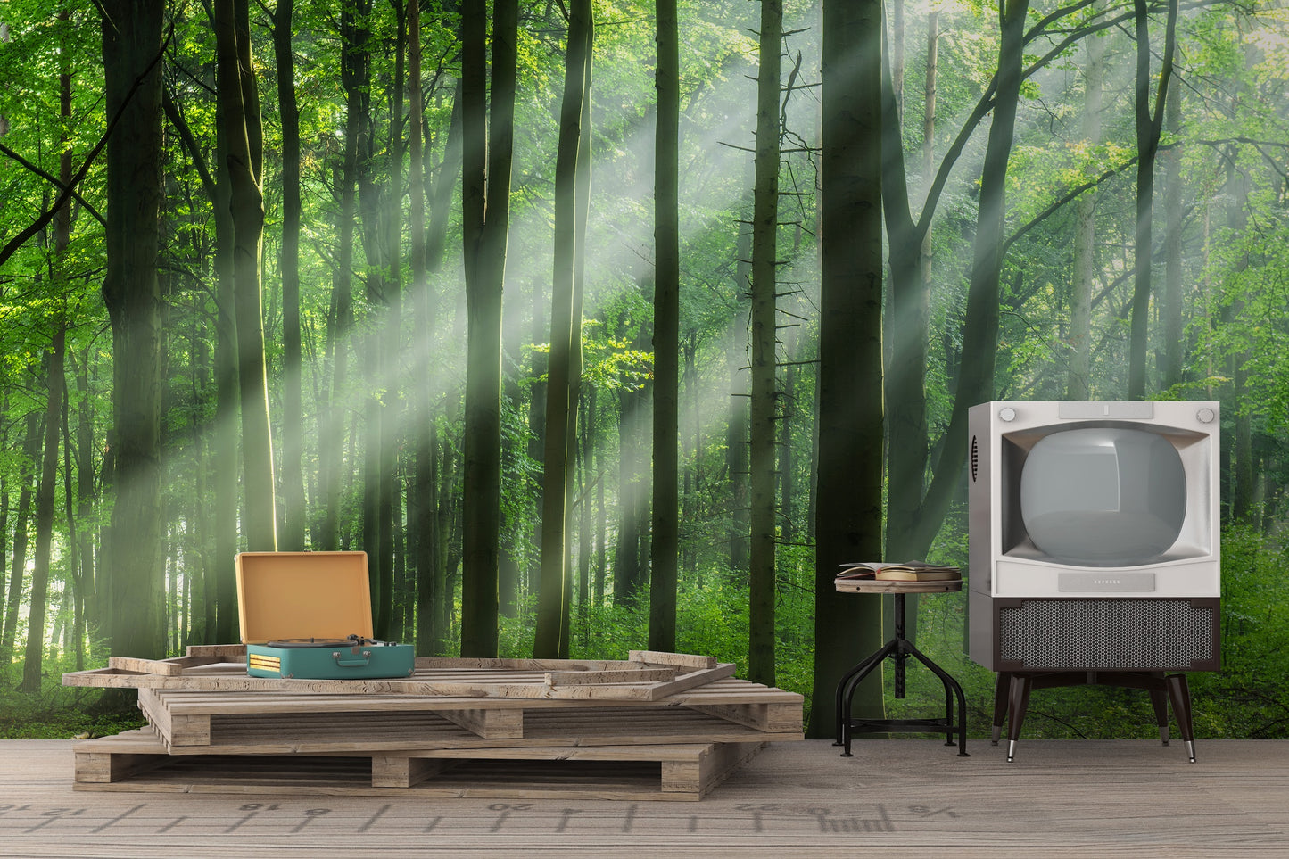 Bosque y Rayos de Sol