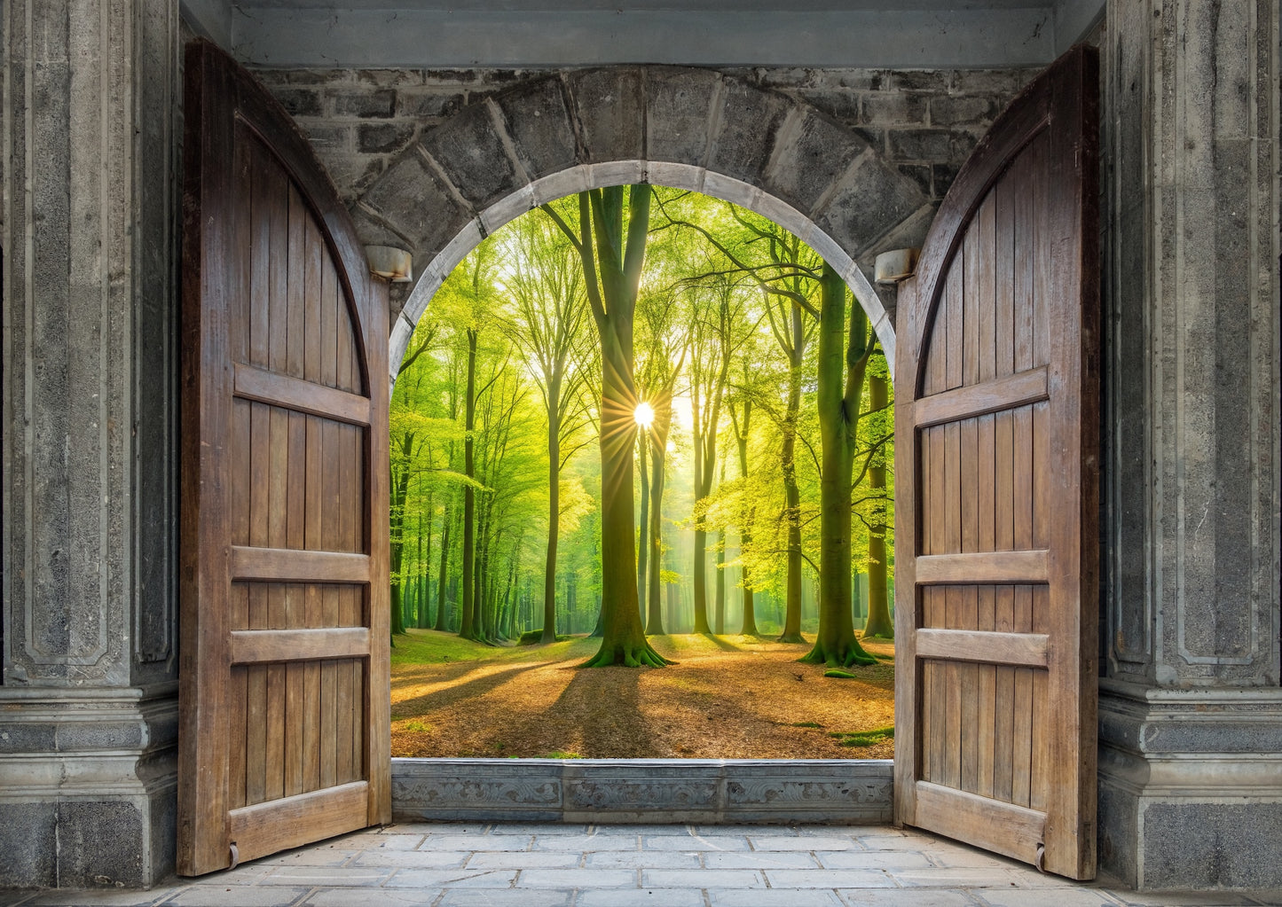 Puertas de Castillo con Diferentes Vistas