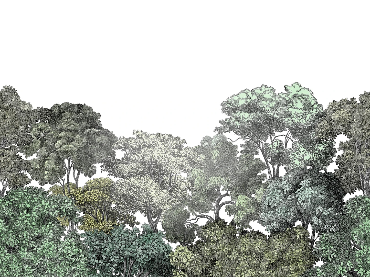 Bellewood Forest Greens