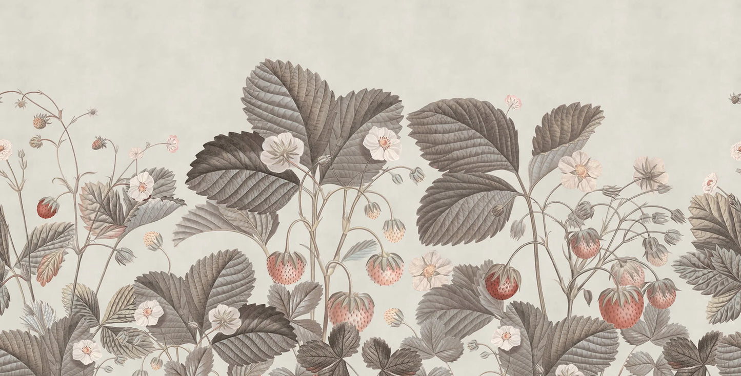 Wild Strawberries, Vintage