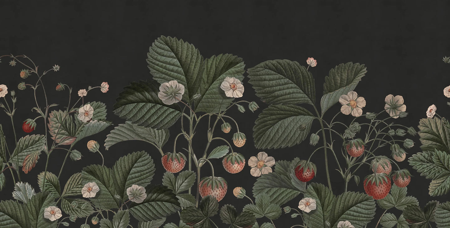 Wild Strawberries, Midnight