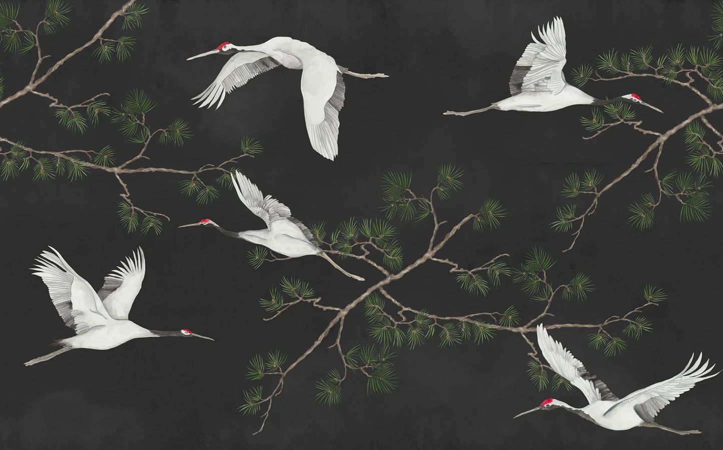 Majestic Cranes, Black