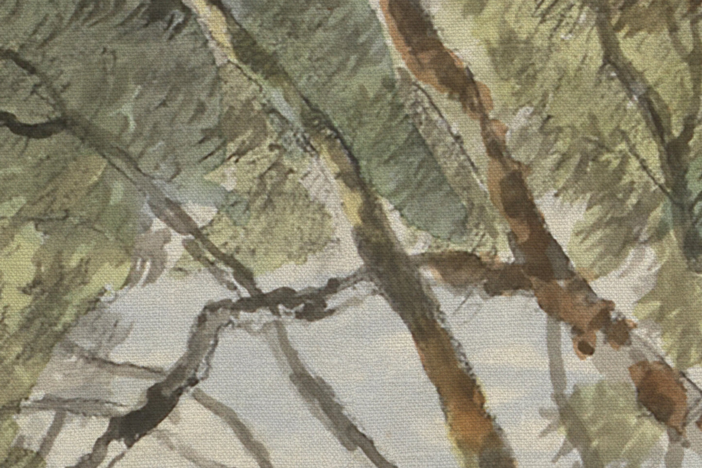 Arbol en Pradera