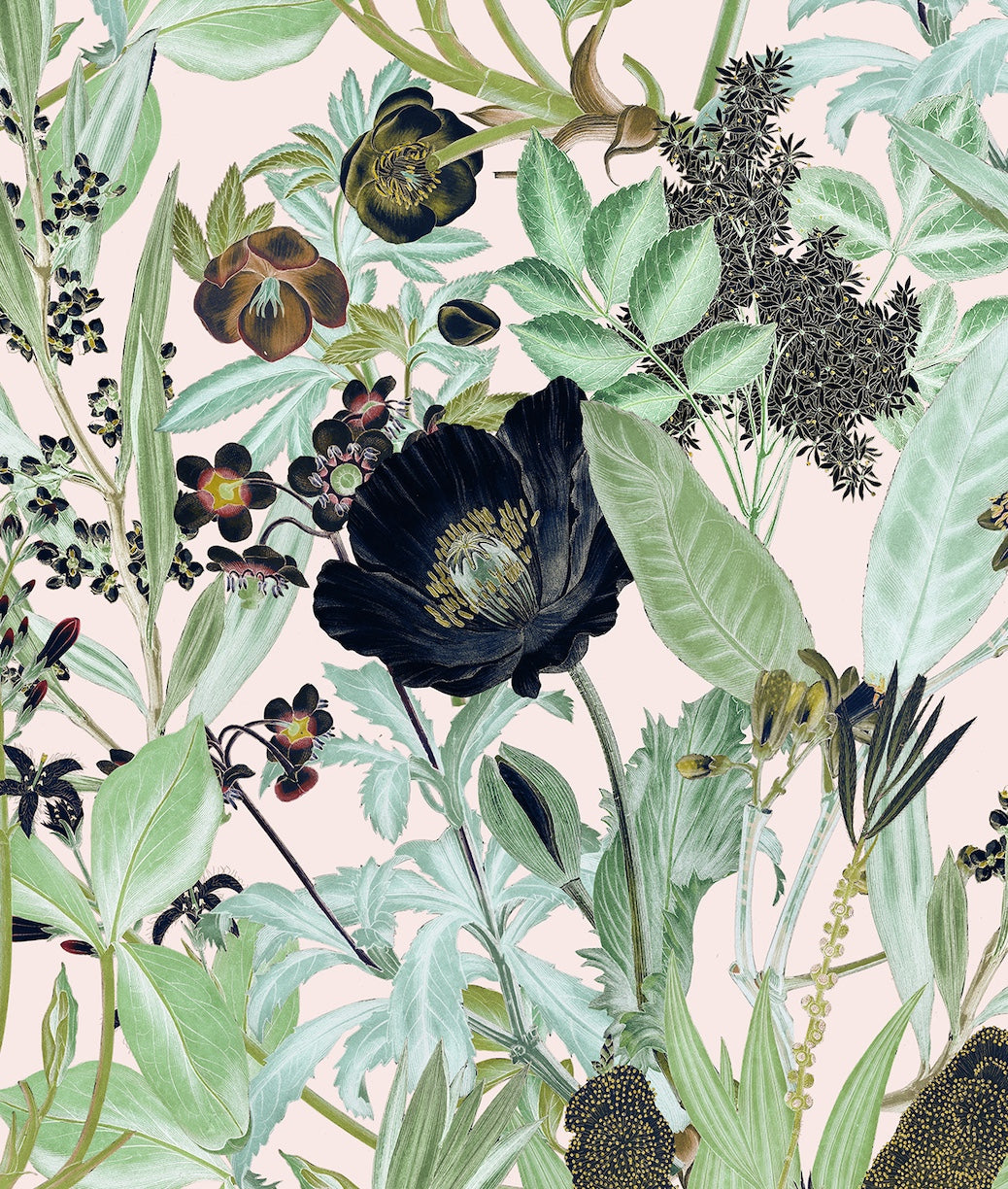Beautiful Black Flowers