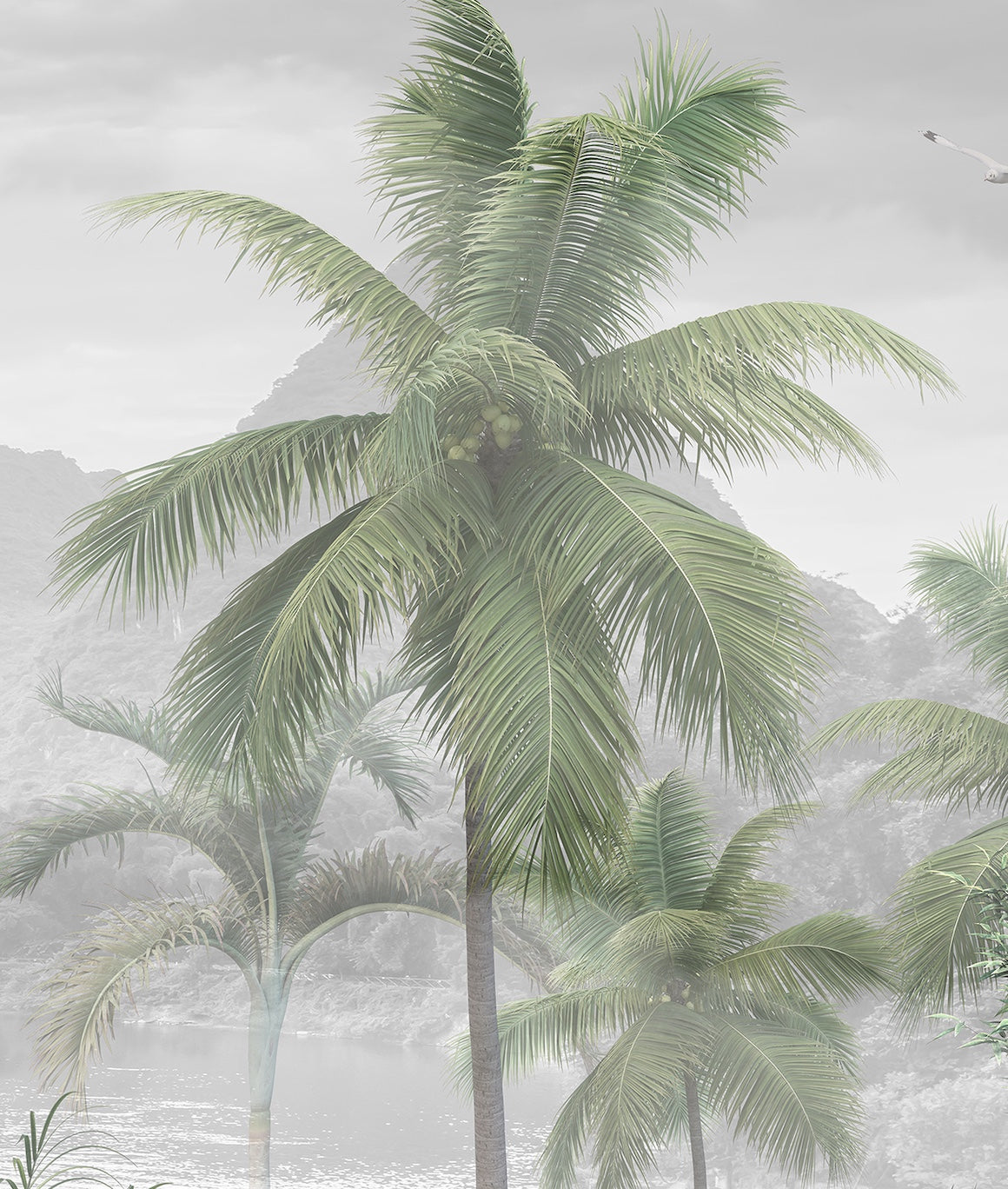 Oasis, Montañas y Palmeras