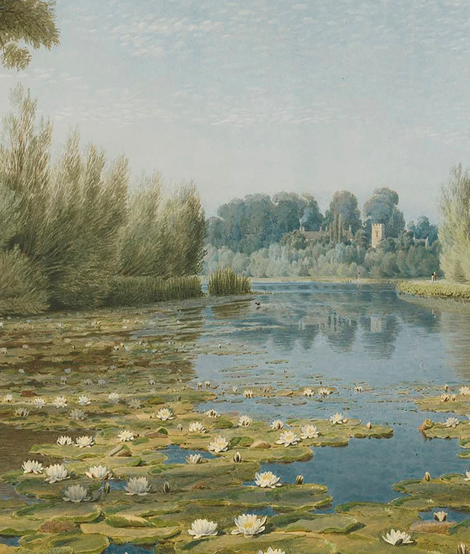 Paisaje Rio con Lirios