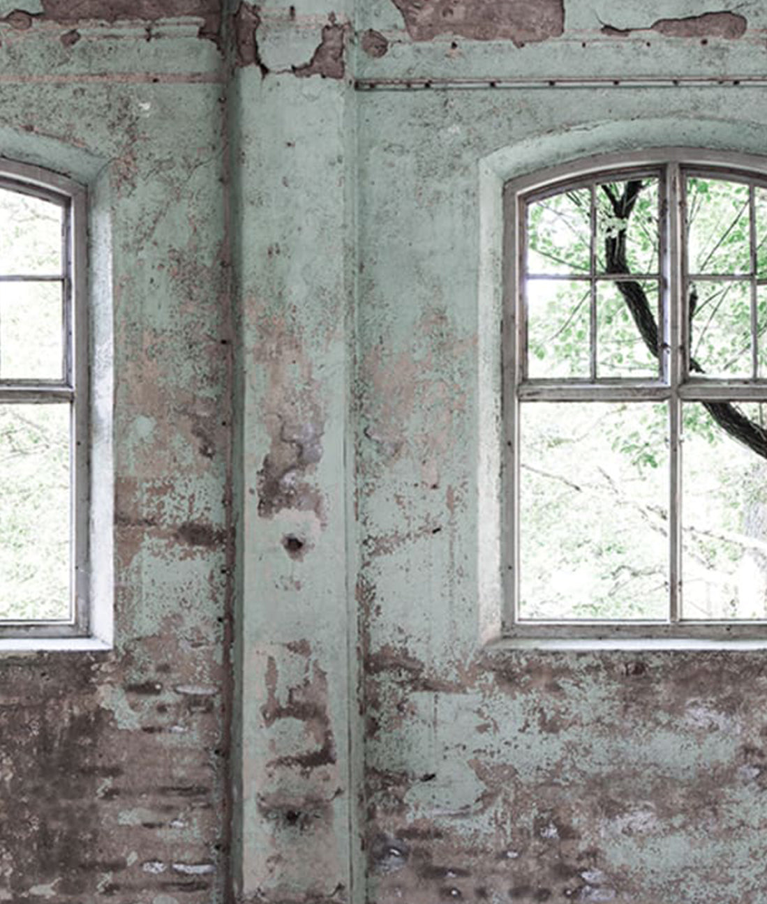 Bodega Abandonada Rústica - Verde