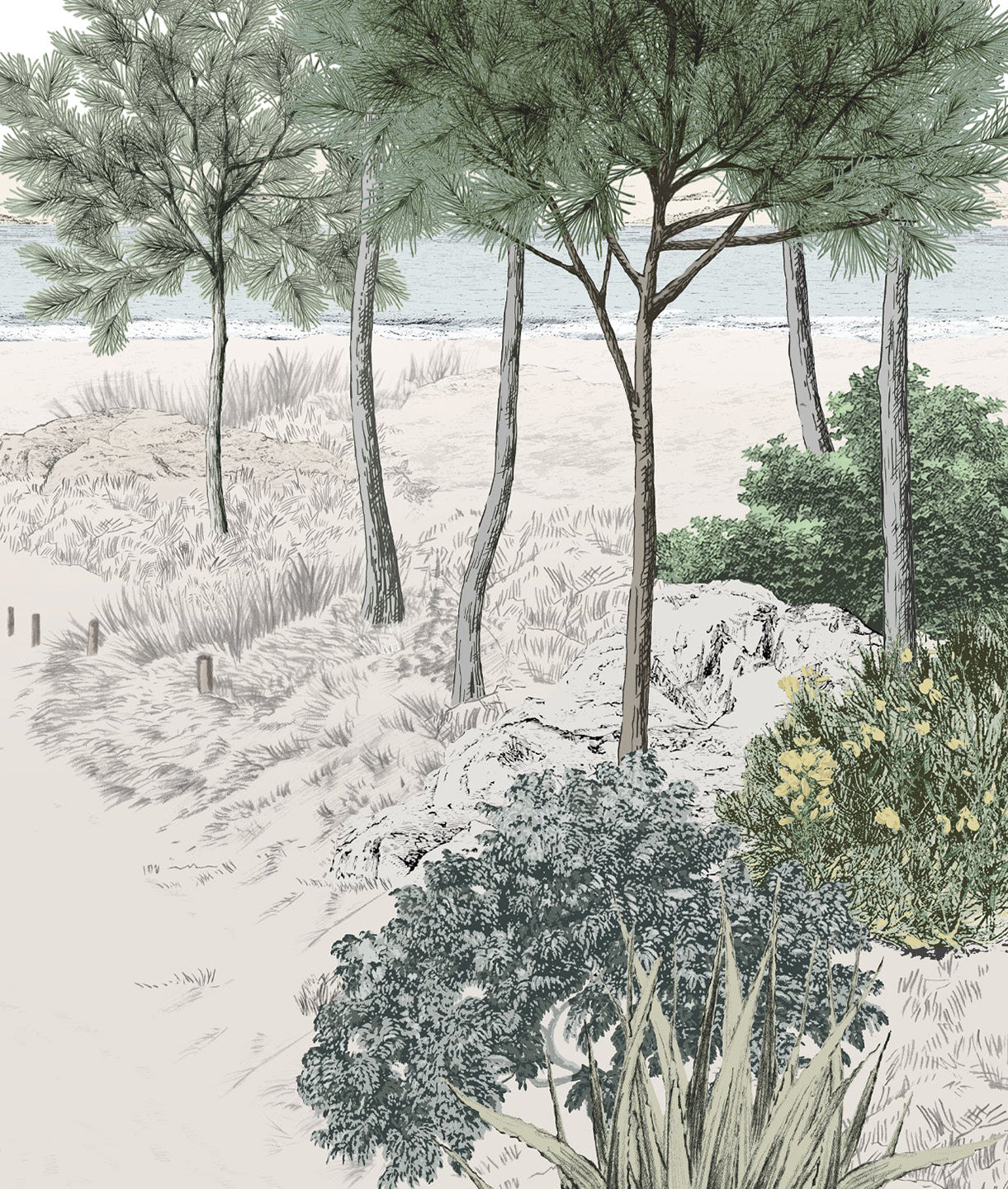 Paisaje Oceano, Playa y Plantas