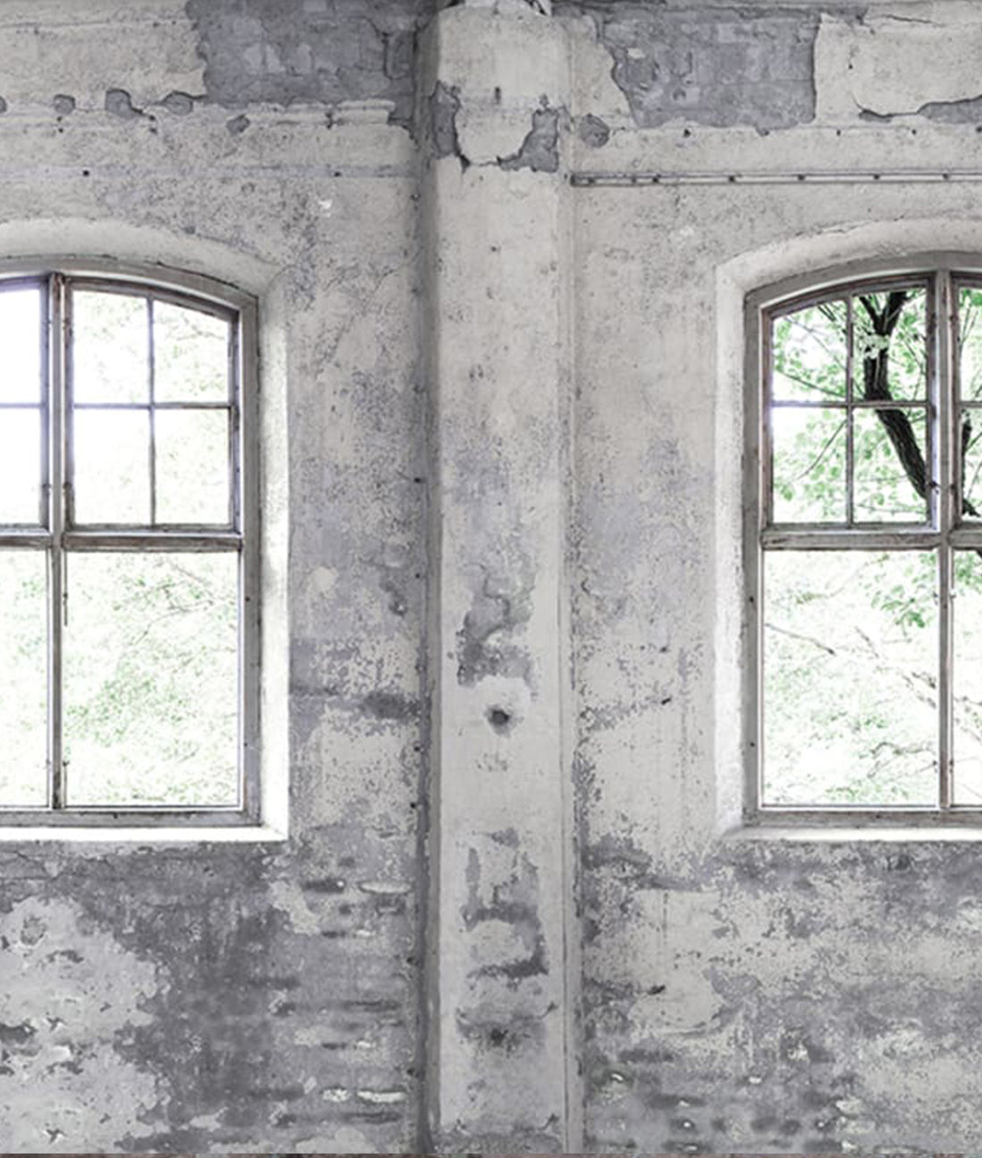 Bodega Abandonada Rústica - Gris