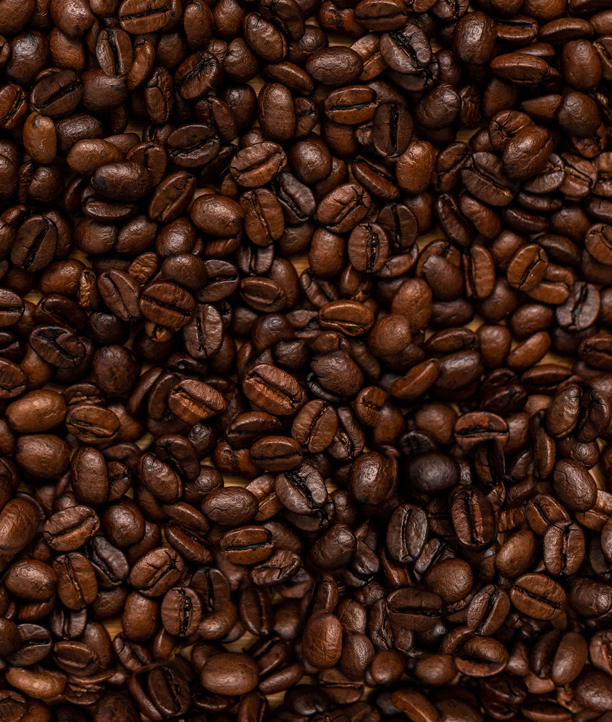 Light or Dark Coffee Beans