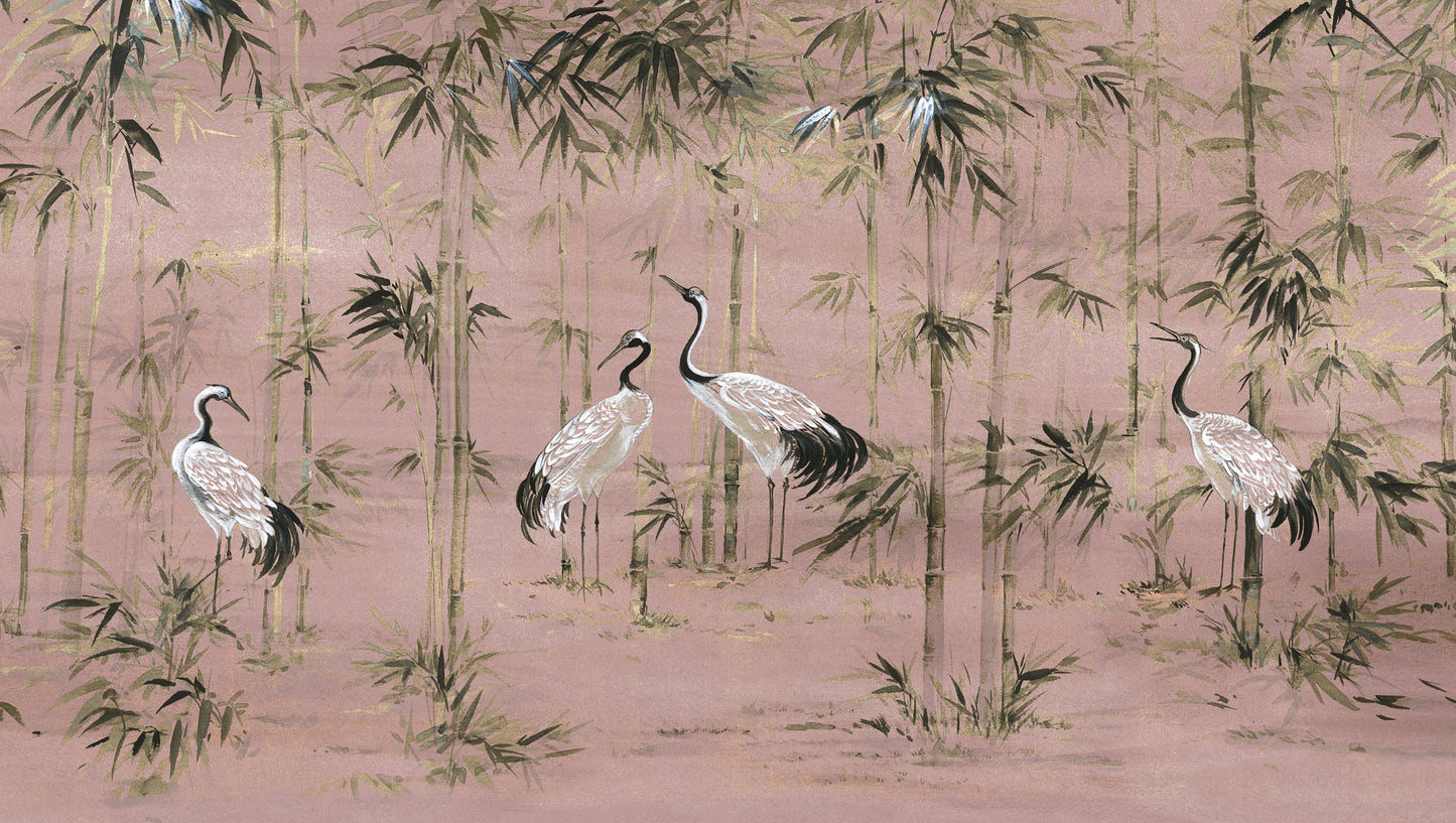 Garzas en Bosque de Bamboo - Sunrise