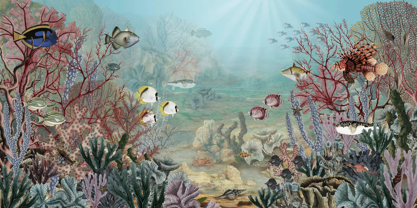 Fish & Corals Underwater Illustration