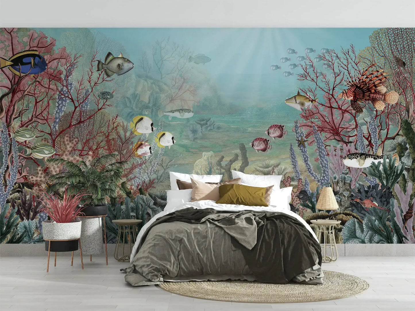 Fish & Corals Underwater Illustration