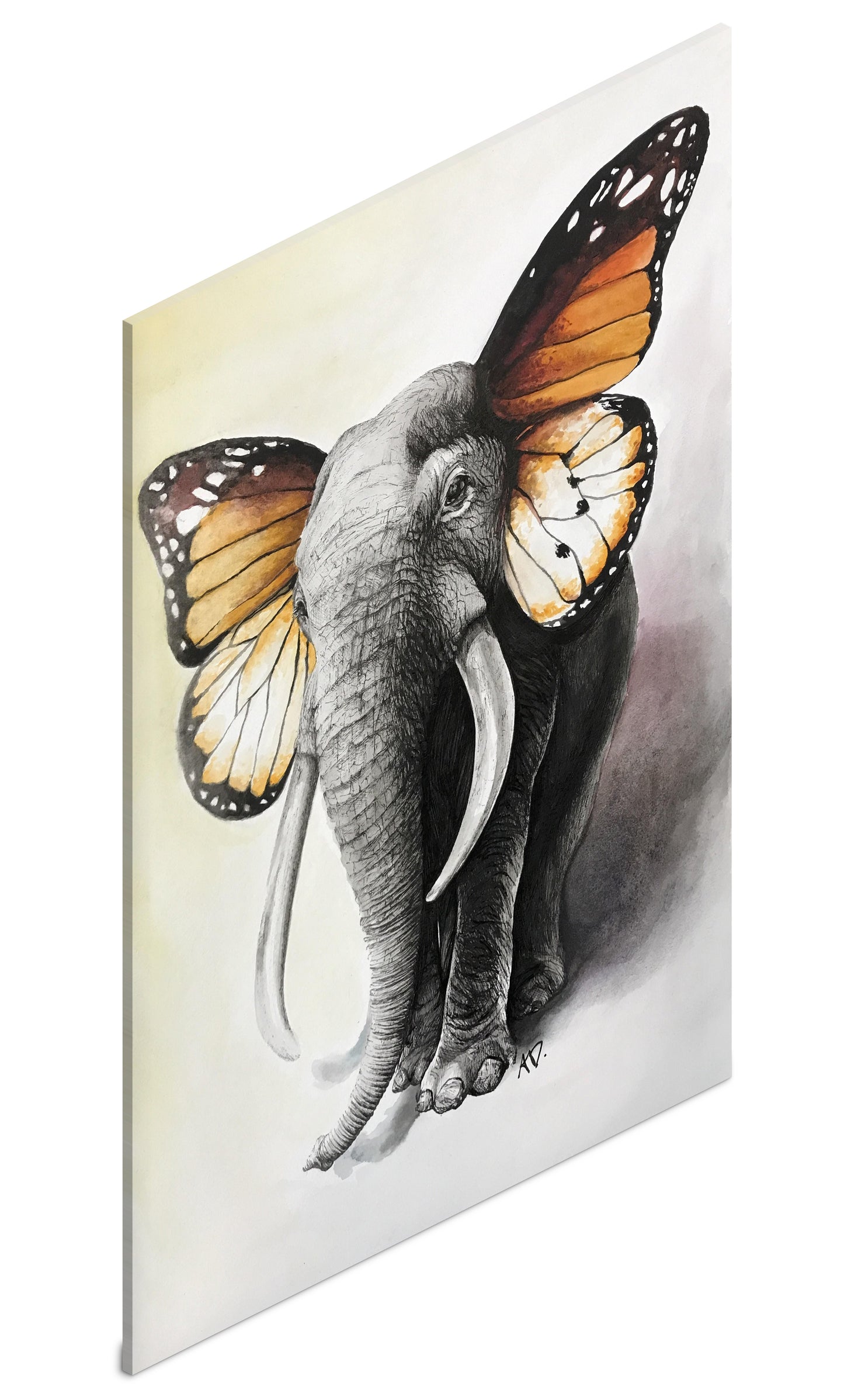 Canvas Elefante Mariposa