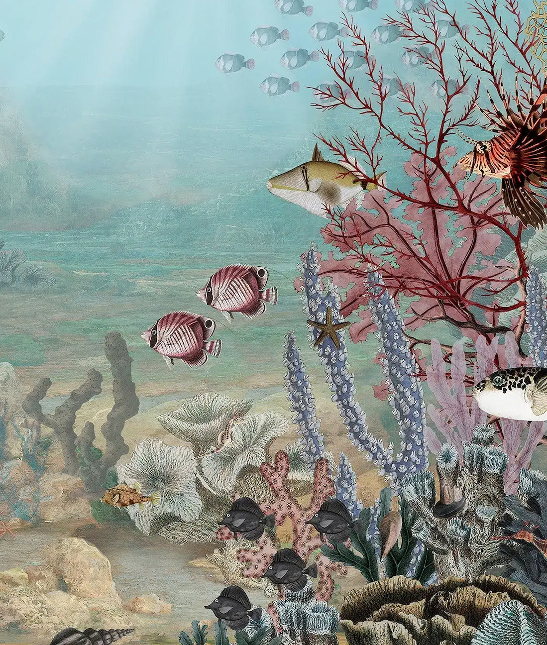 Fish & Corals Underwater Illustration