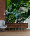 Jungle Tropical Ferns