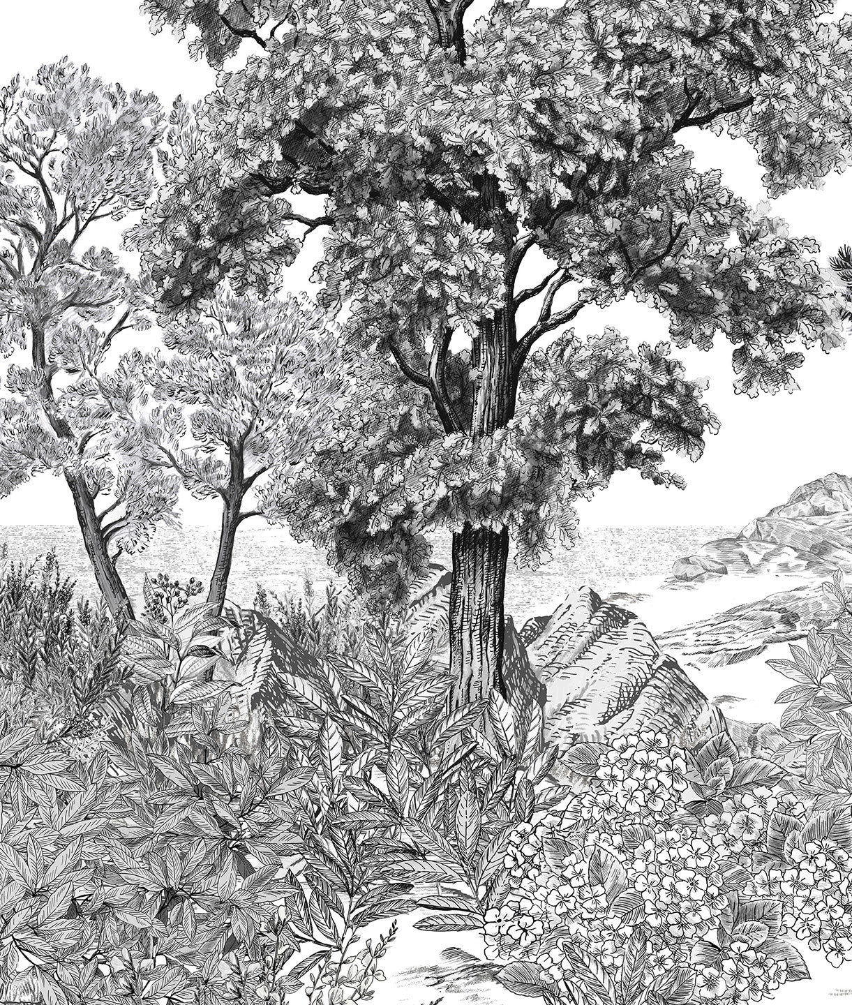 Ilustración Lago y Bosque