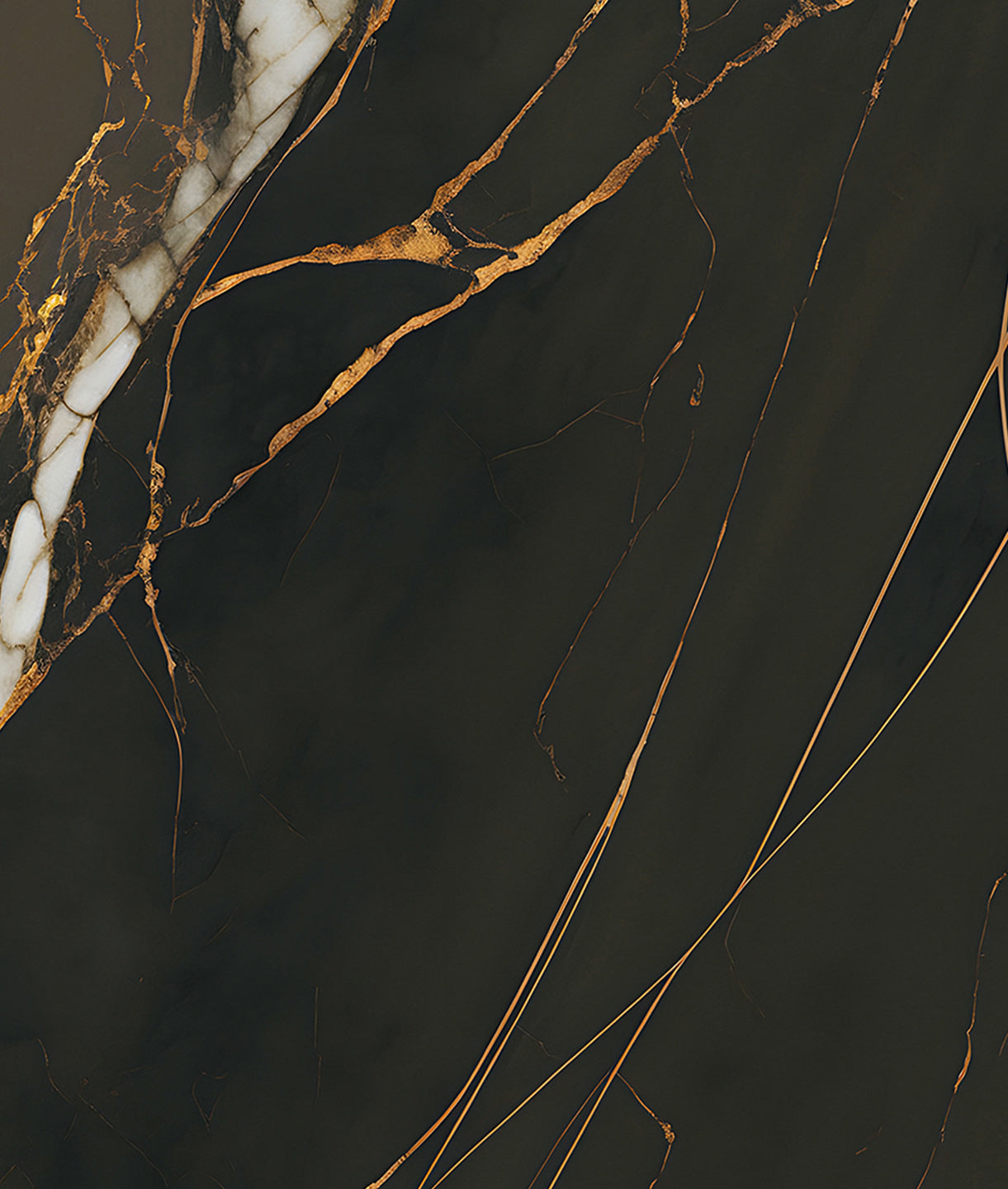 Elegant Dark Marbled Stone