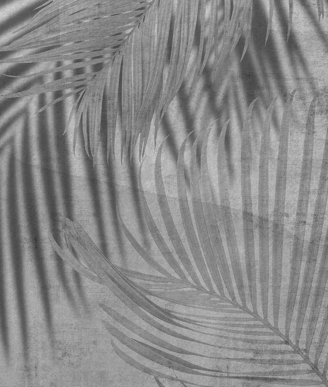 Elegantes Plantas y Sombras