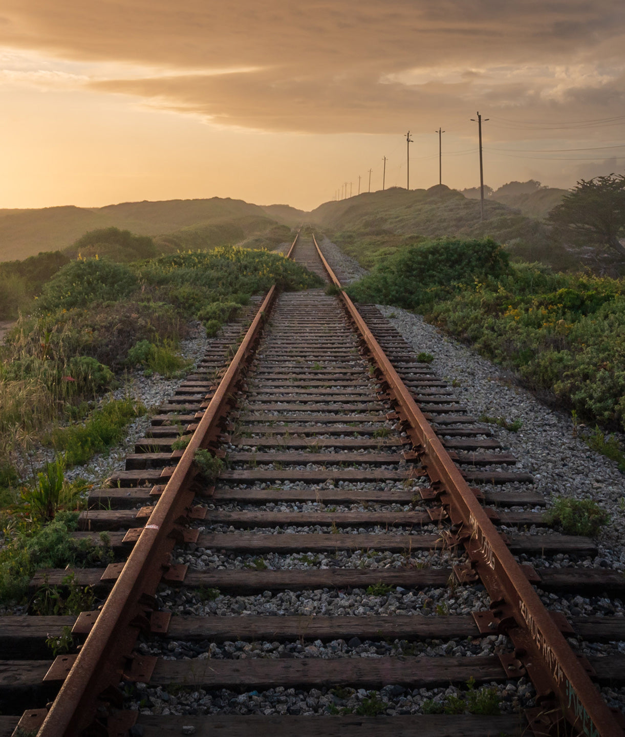 Railroad Tracks at Sunset