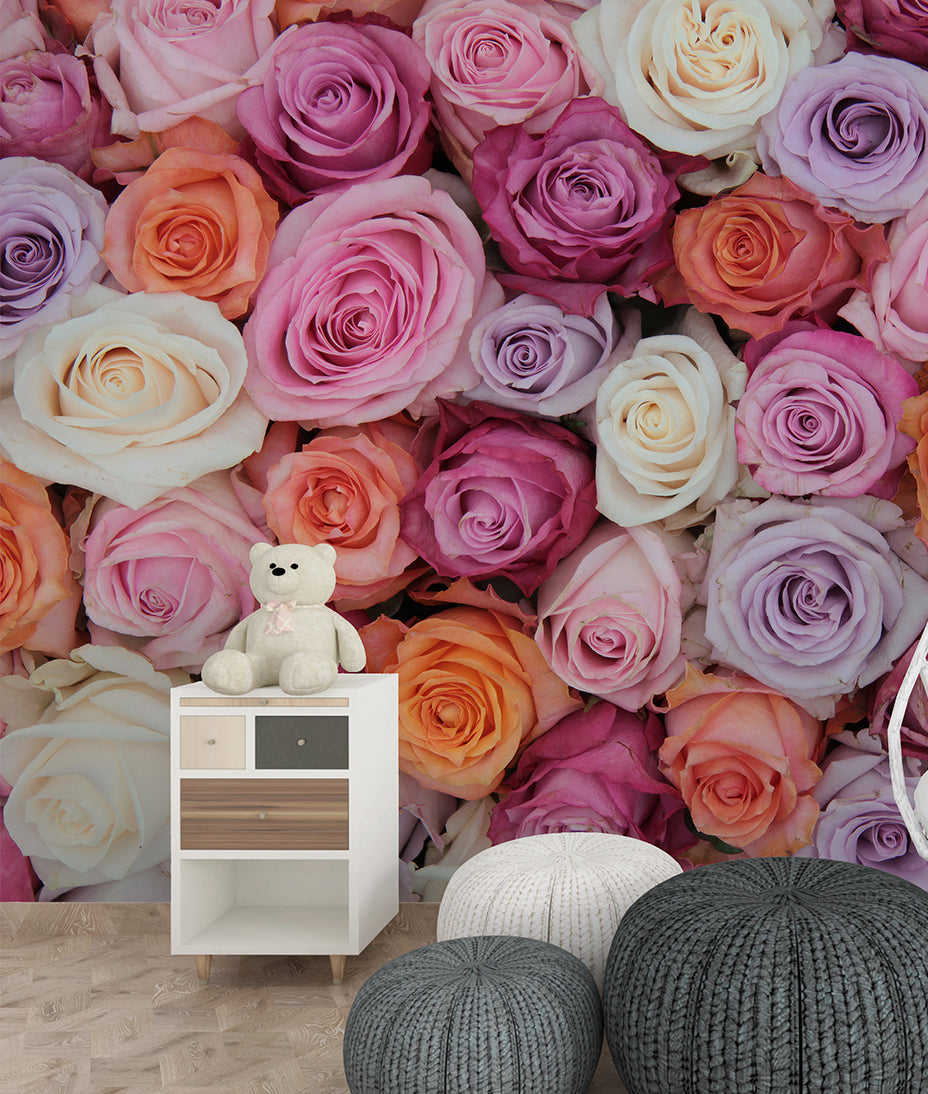 Pink & White Roses