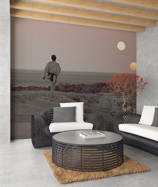 Star Wars Binary Sunset