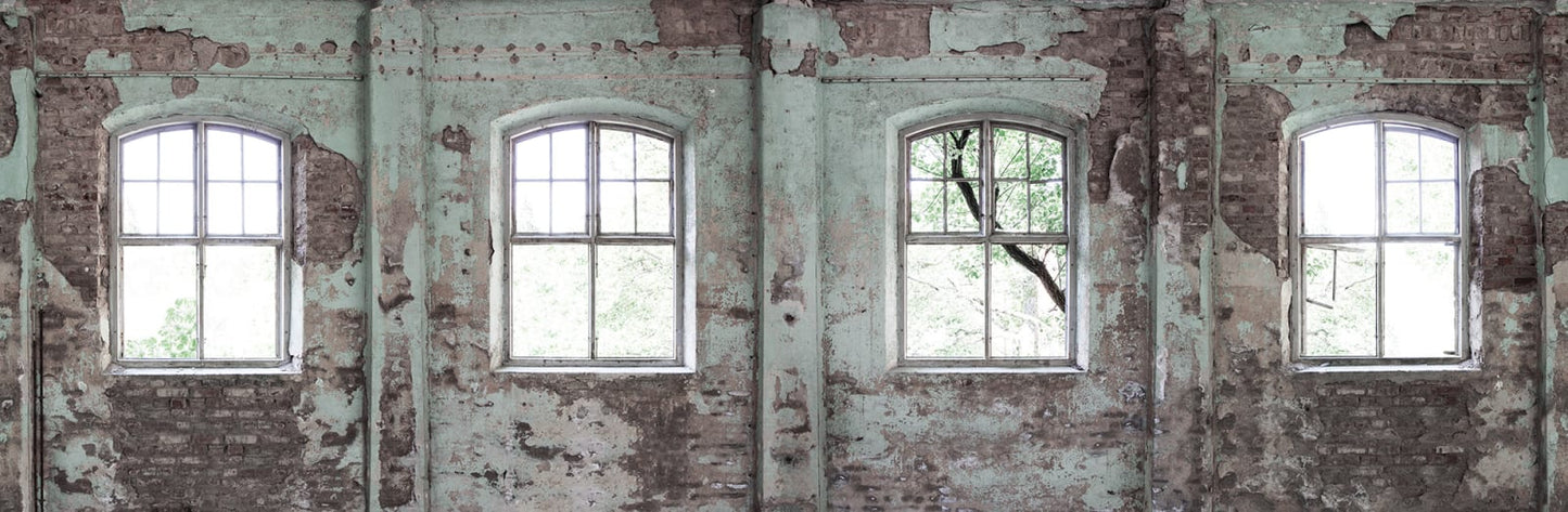 Muros y Ventanales de Fabrica Abandonada