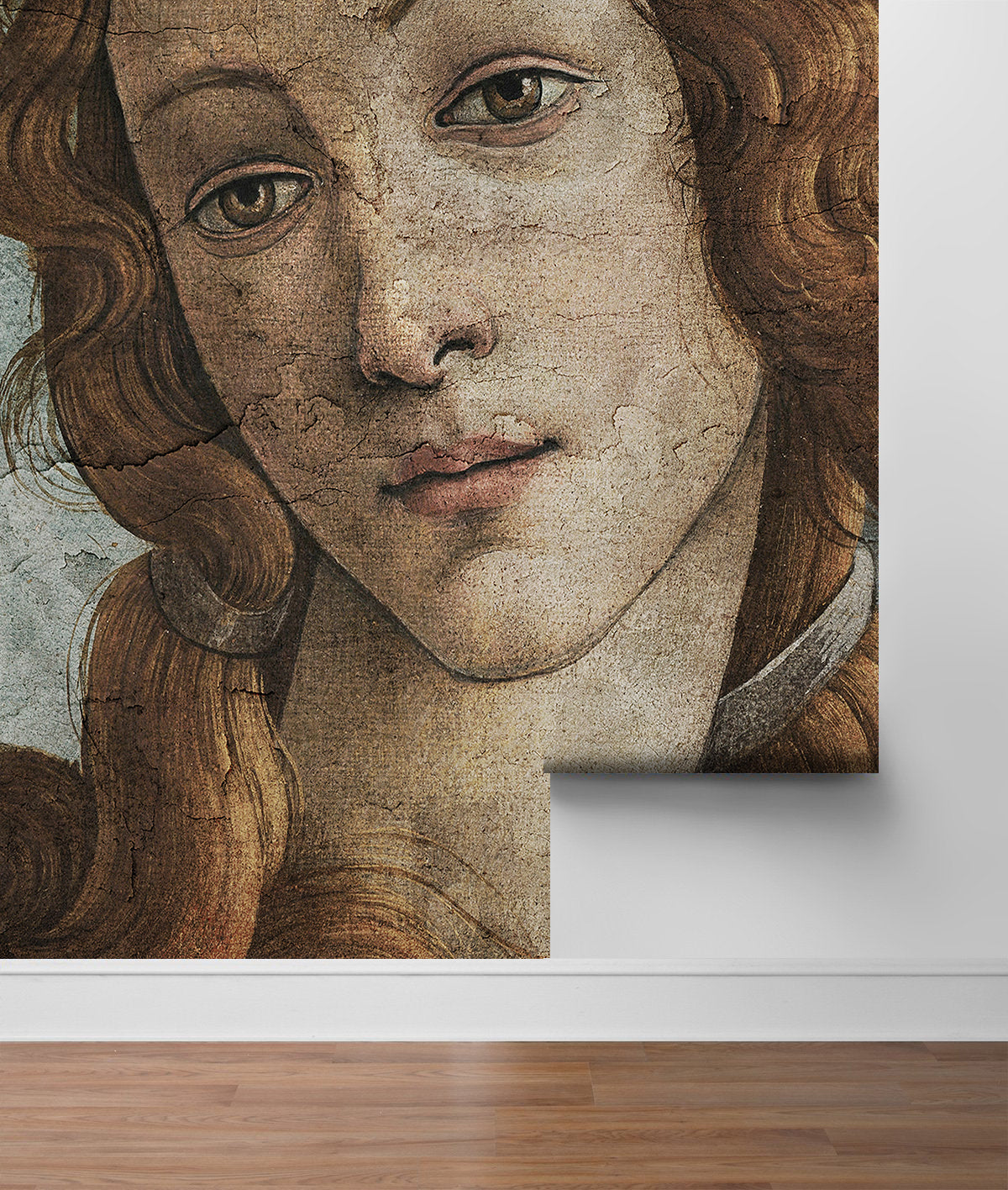 Nacimiento de Venus - Botticelli