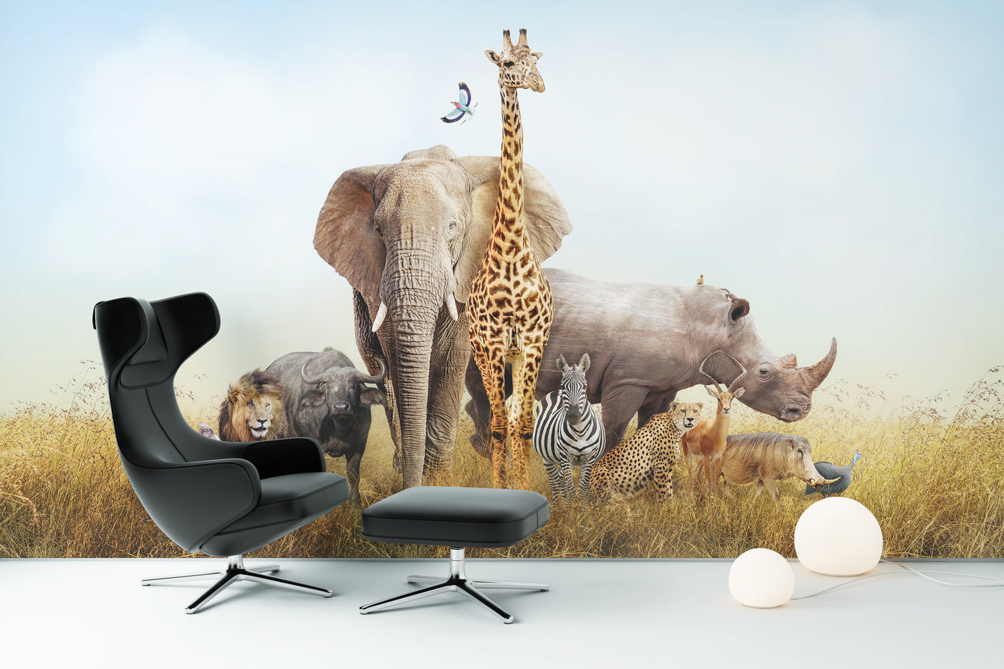 Safari Elefante León Jirafa Tigre