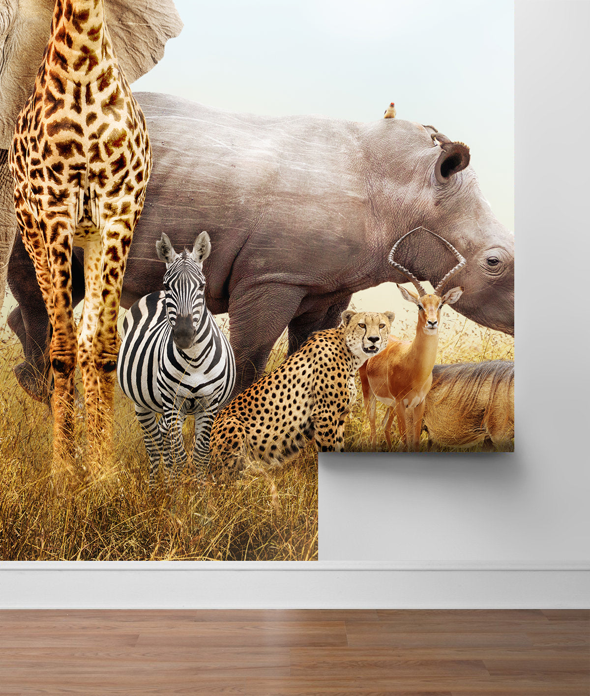 Safari Elefante León Jirafa Tigre