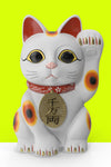 Canvas Decorativo Maneki Neko White
