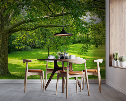Green Grass and Trees
