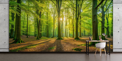 Bosque y Rayos del Sol