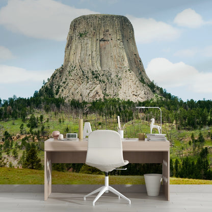 Devil's Tower Close Encounters