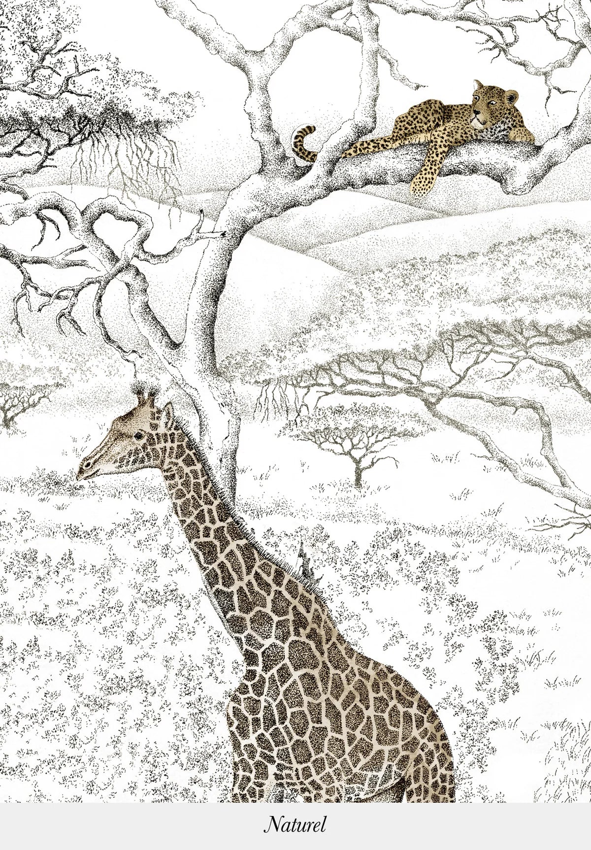 Safari Serenguetti Leones, Jirafas, Elefantes