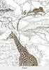 Safari Serenguetti Leones, Jirafas, Elefantes
