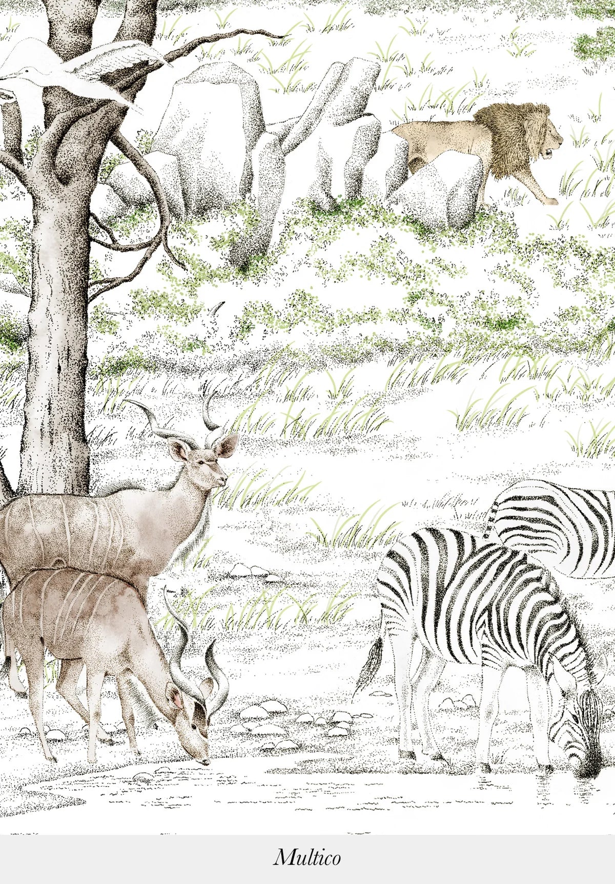 Safari Serenguetti Leones, Jirafas, Elefantes