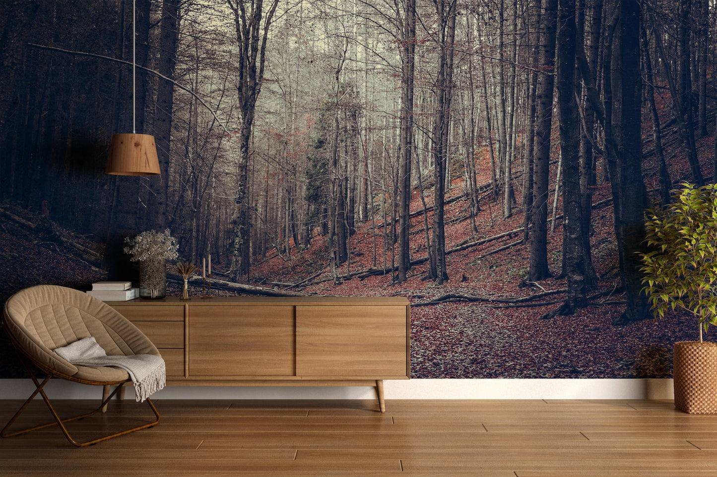 Paisaje Bosque en Otoño