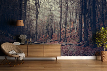 Paisaje Bosque en Otoño