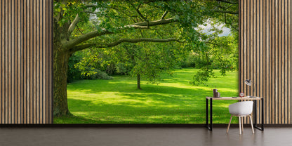 Green Grass and Trees