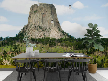 Devil's Tower Close Encounters