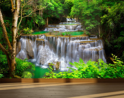 Paisaje Bosque y Cascada en Vietnam