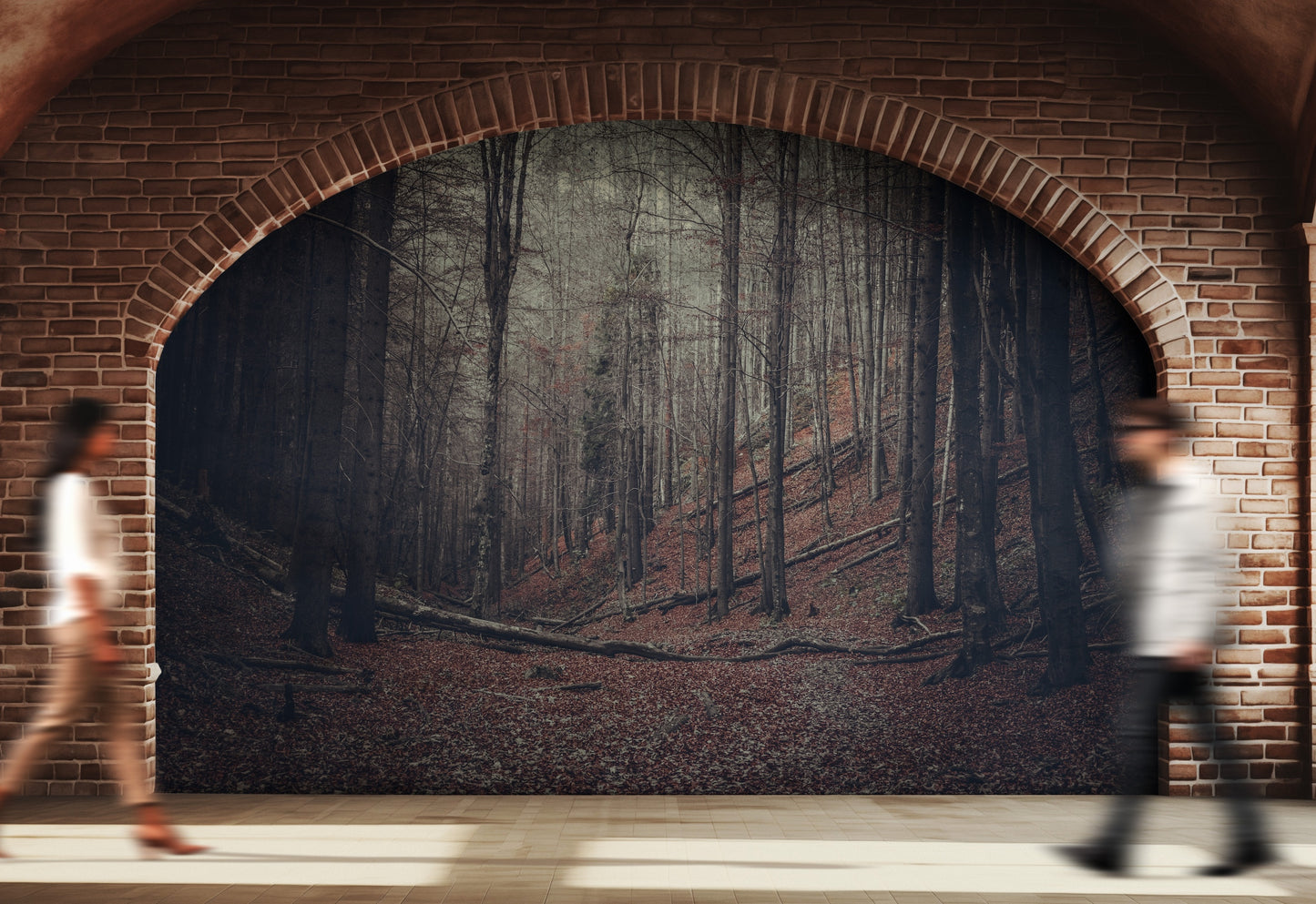 Paisaje Bosque en Otoño